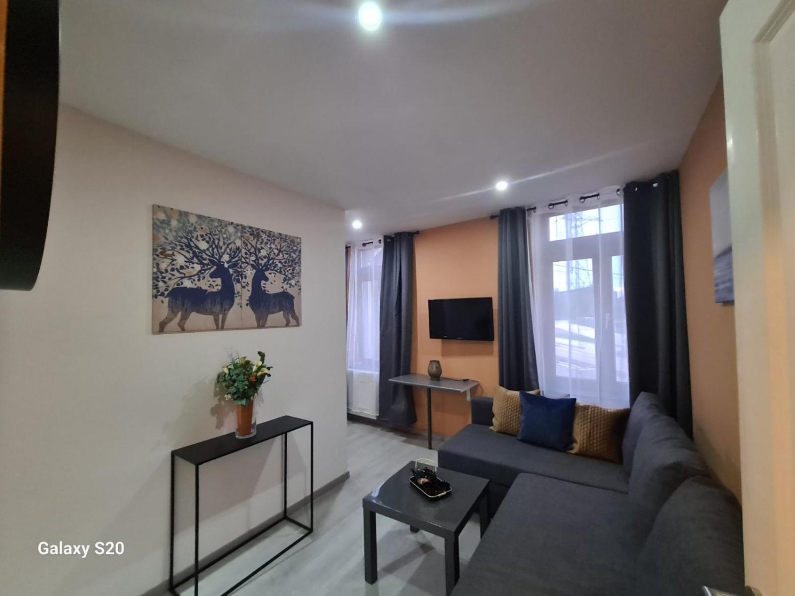 Liege Apartment Seraing Ngoại thất bức ảnh